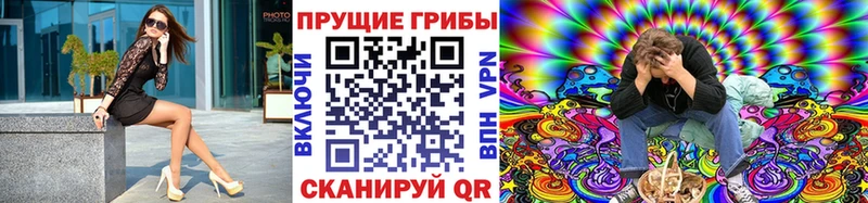 Галлюциногенные грибы прущие грибы  Гаврилов Посад 